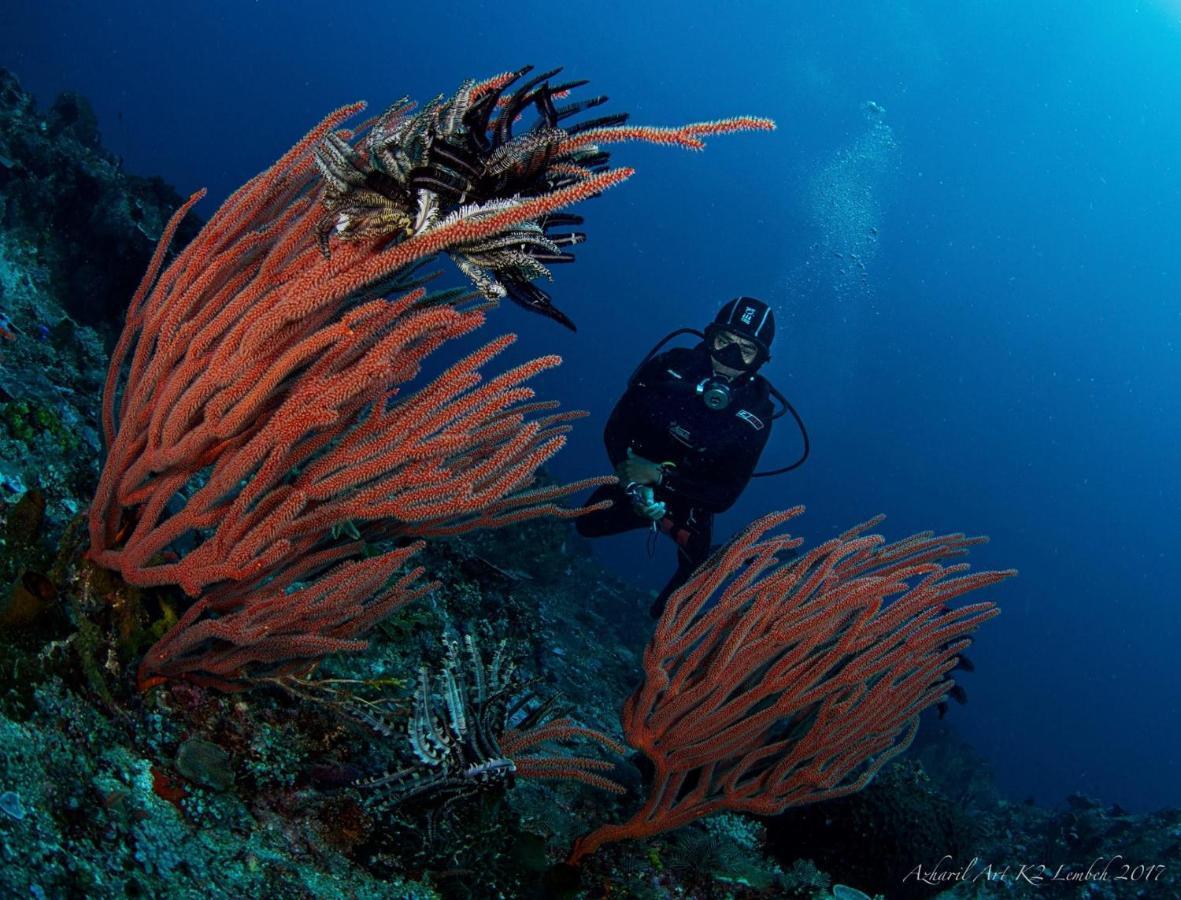 K2 Lembeh Dive Resort Bitung Exterior photo